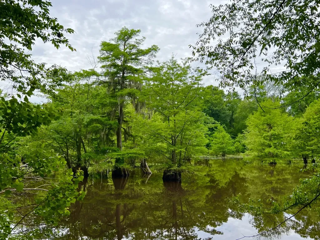 0 Highway Rose Hill Dozier AL 36028