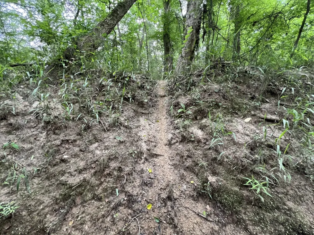 0 Highway Rose Hill Dozier AL 36028