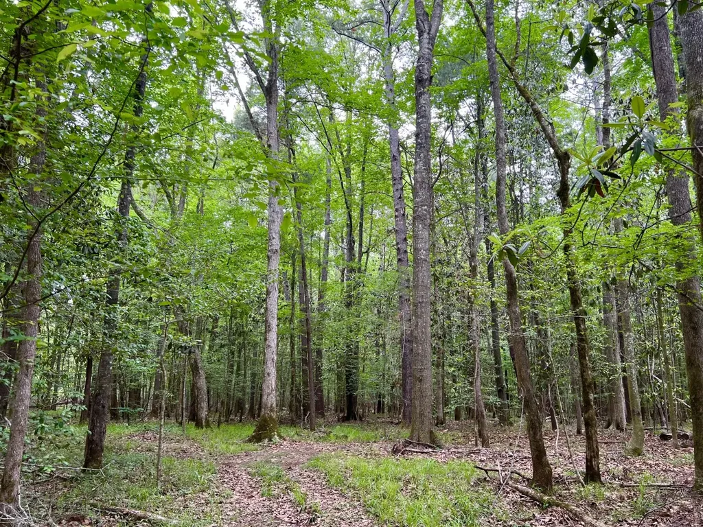 0 Highway Rose Hill Dozier AL 36028