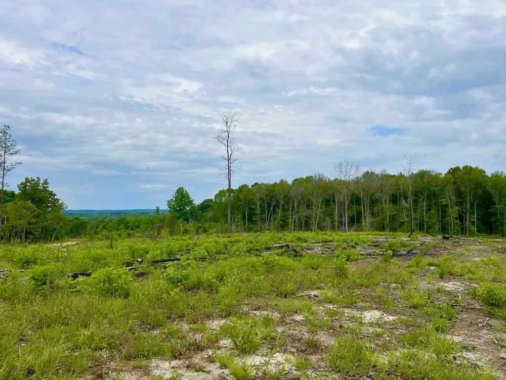 0 Highway Rose Hill Dozier AL 36028