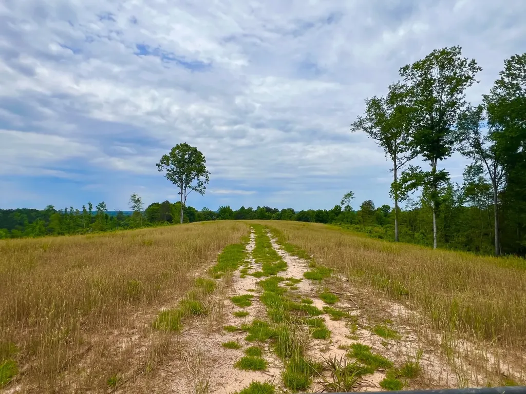 0 Highway Rose Hill Dozier AL 36028