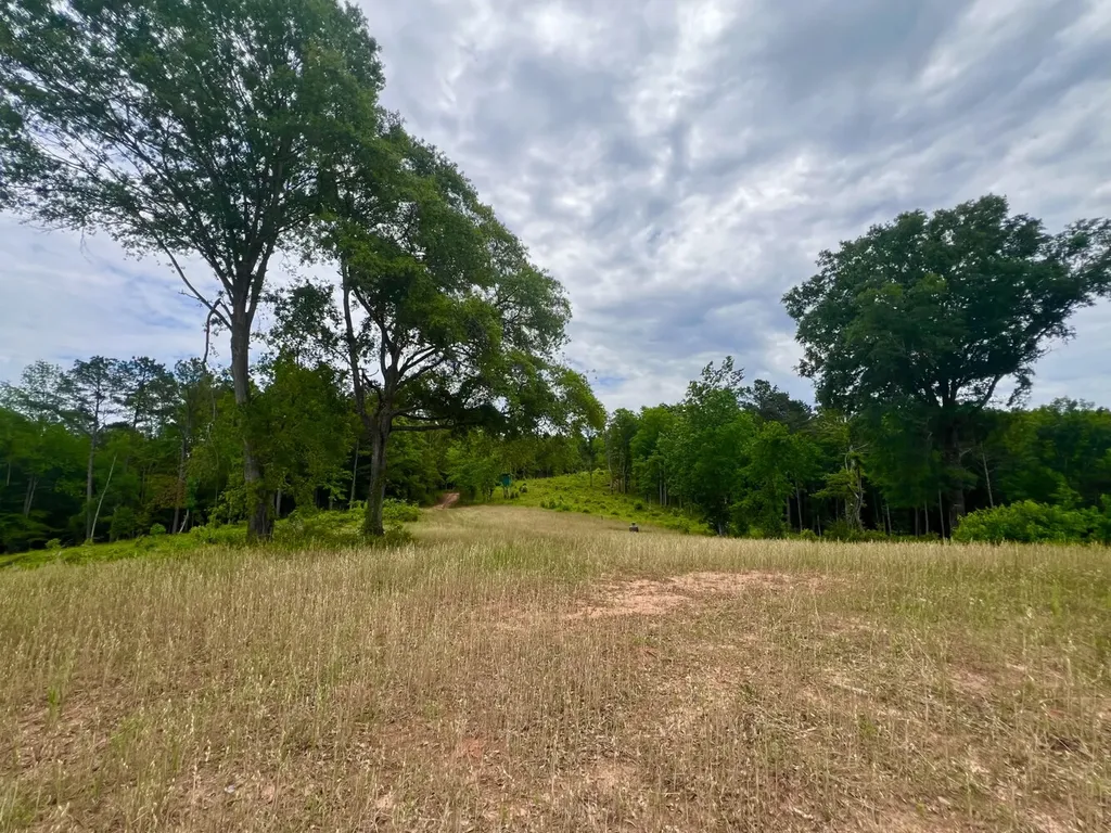 0 Highway Rose Hill Dozier AL 36028