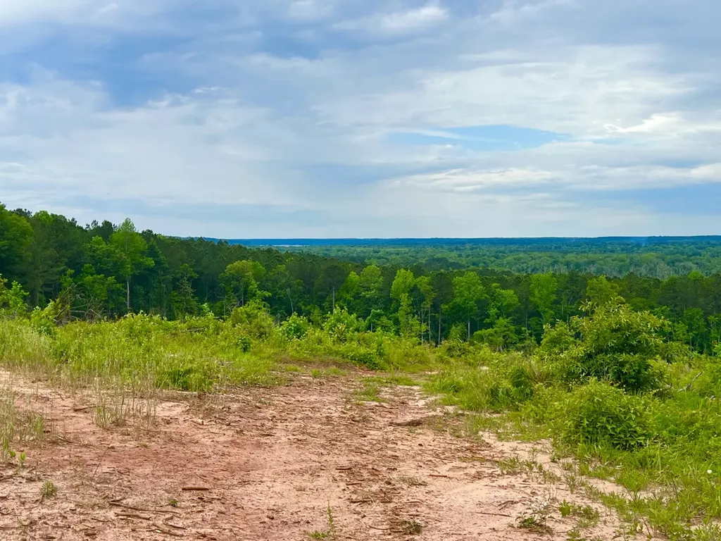 0 Highway Rose Hill Dozier AL 36028