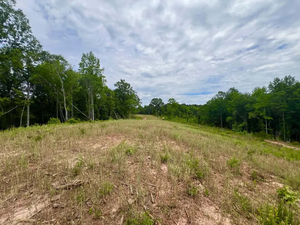 0 Highway Rose Hill Dozier AL 36028