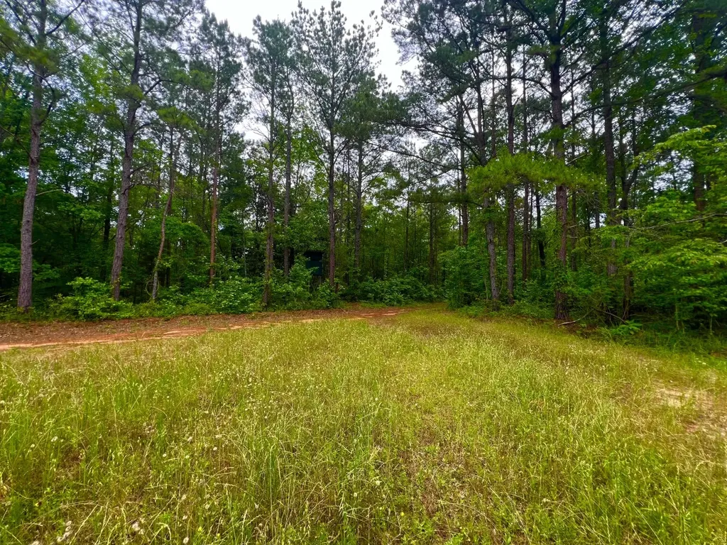 0 Highway Rose Hill Dozier AL 36028