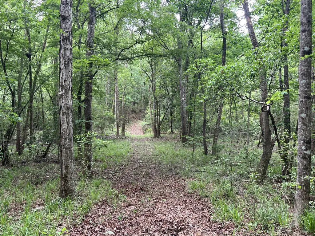 0 Highway Rose Hill Dozier AL 36028