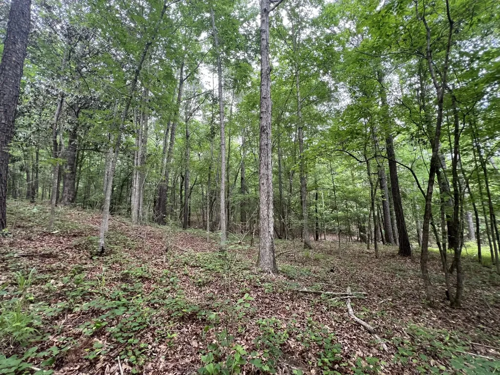 0 Highway Rose Hill Dozier AL 36028