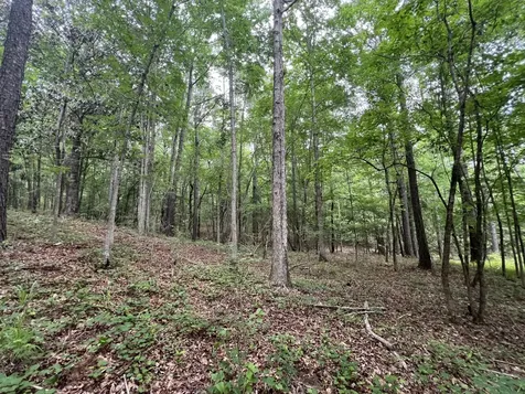 0 Hwy Rose Hill Dozier AL 36028