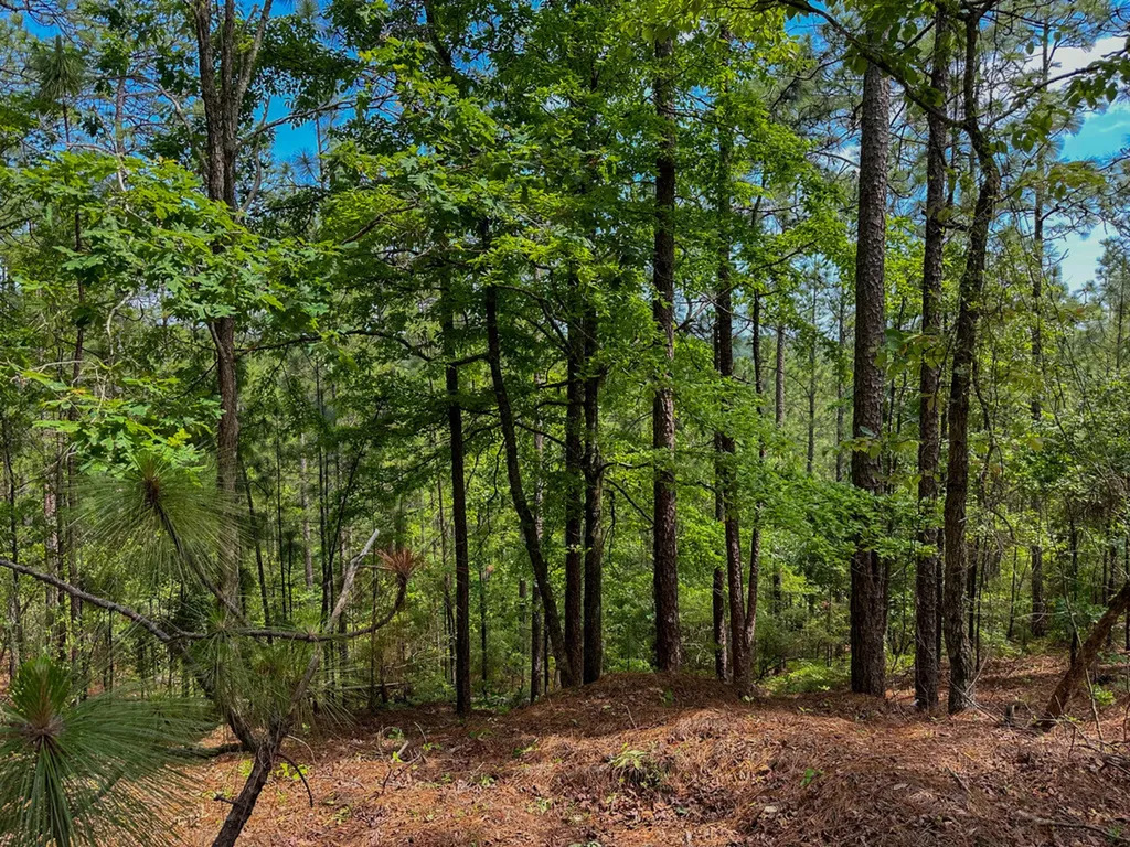 0 Ollie Mccullough Road Sprott AL 36756