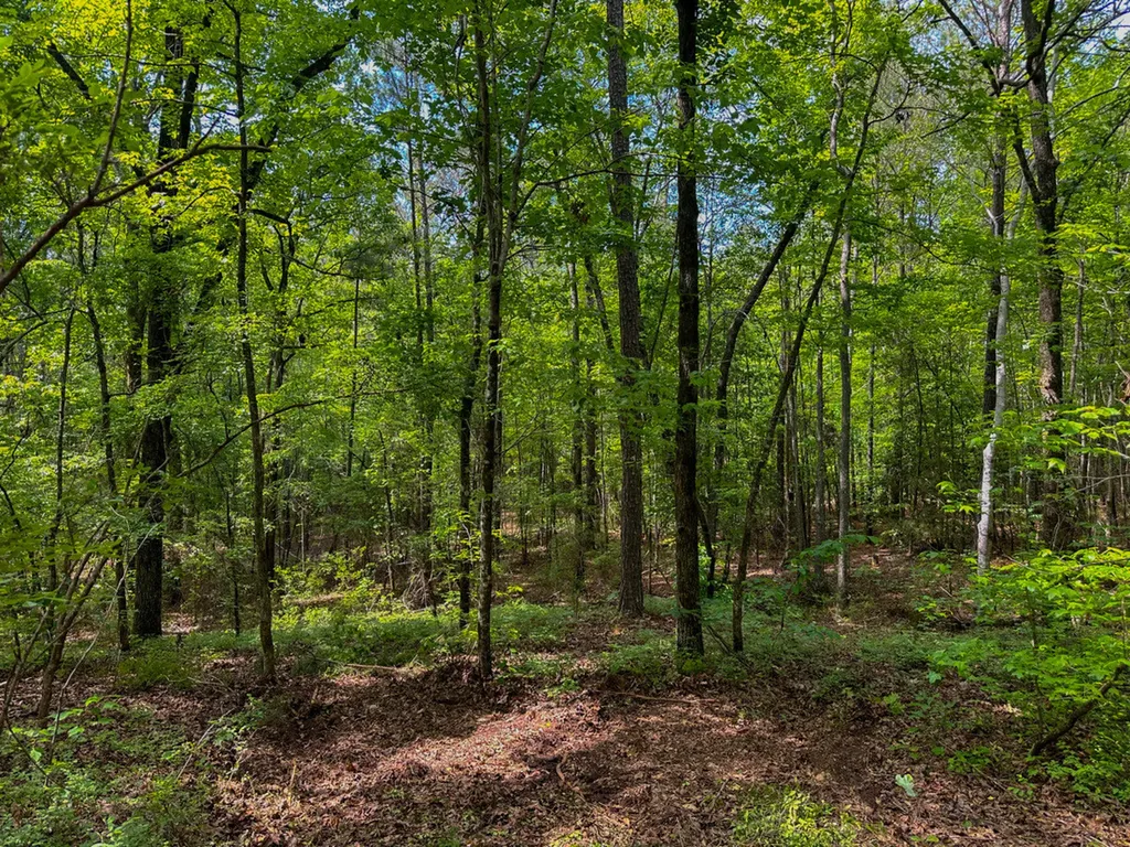 0 Ollie Mccullough Road Sprott AL 36756