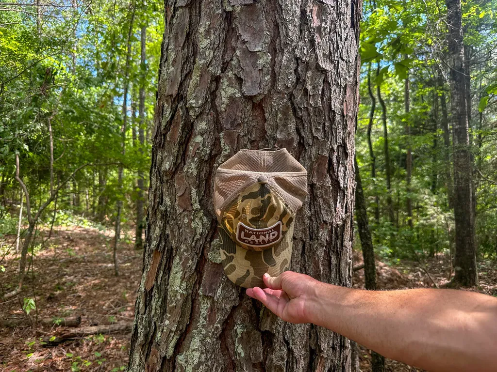 0 Ollie Mccullough Road Sprott AL 36756