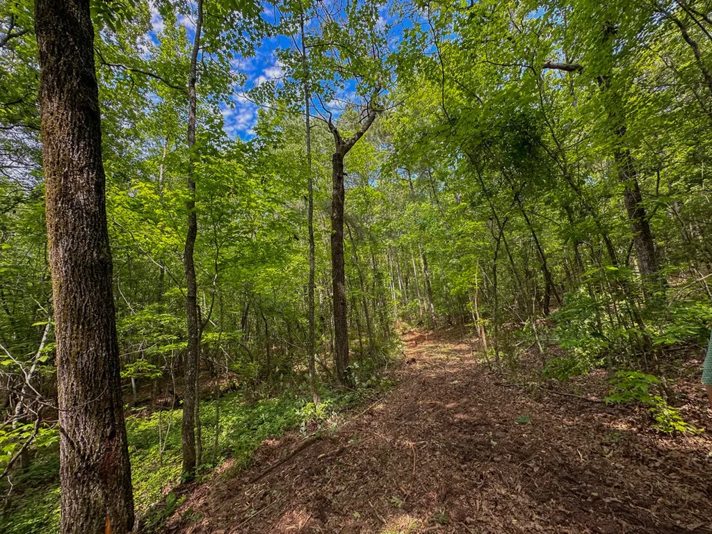 0 Ollie Mccullough Road Sprott AL 36756