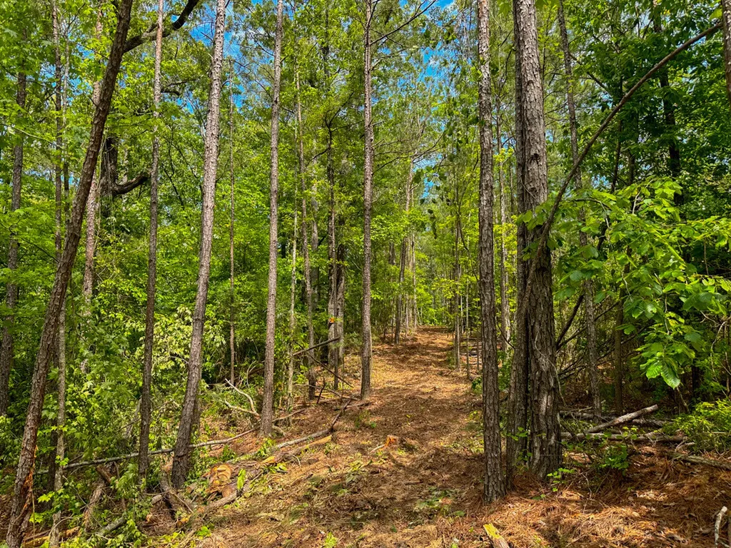 0 Ollie Mccullough Road Sprott AL 36756