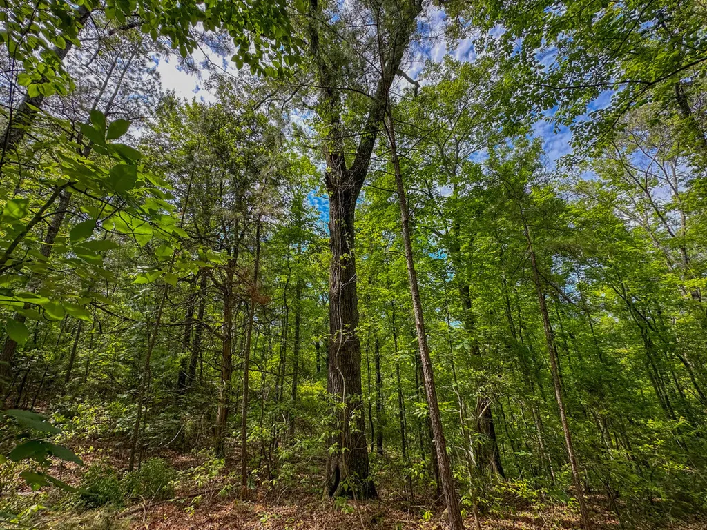 0 Ollie Mccullough Road Sprott AL 36756