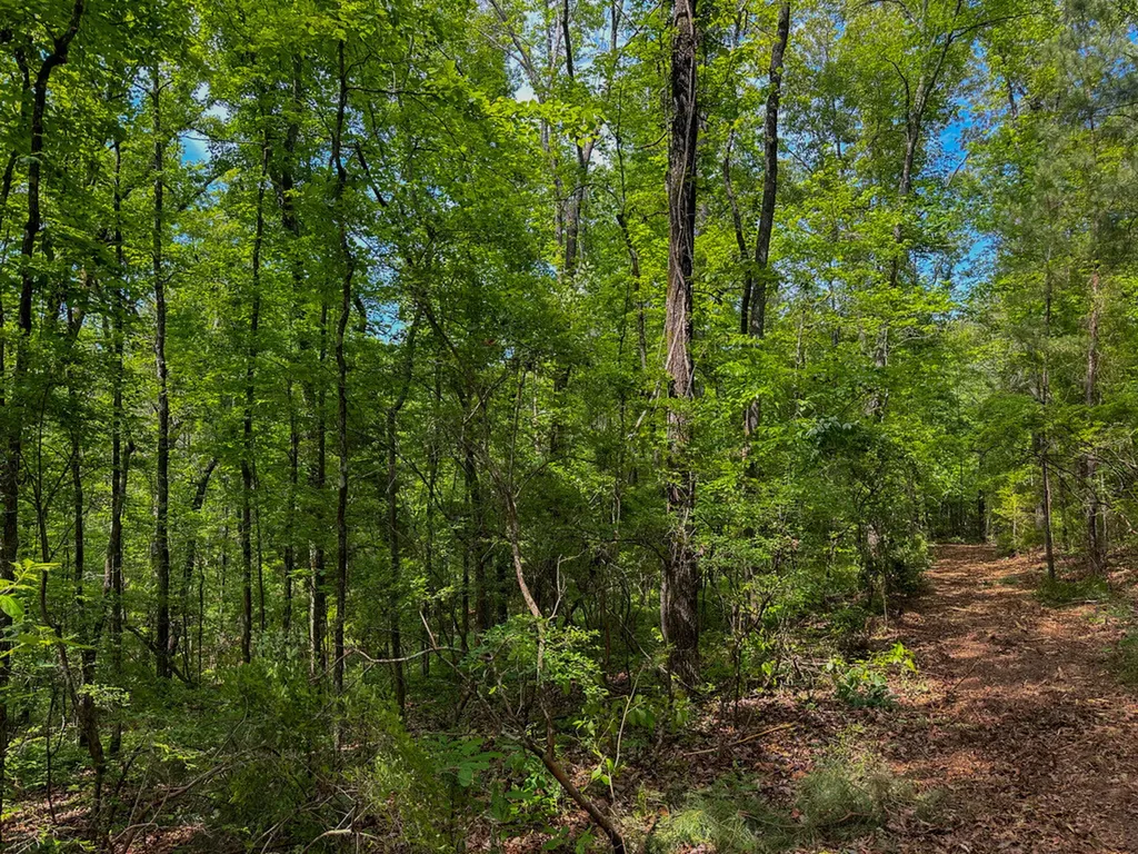 0 Ollie Mccullough Road Sprott AL 36756