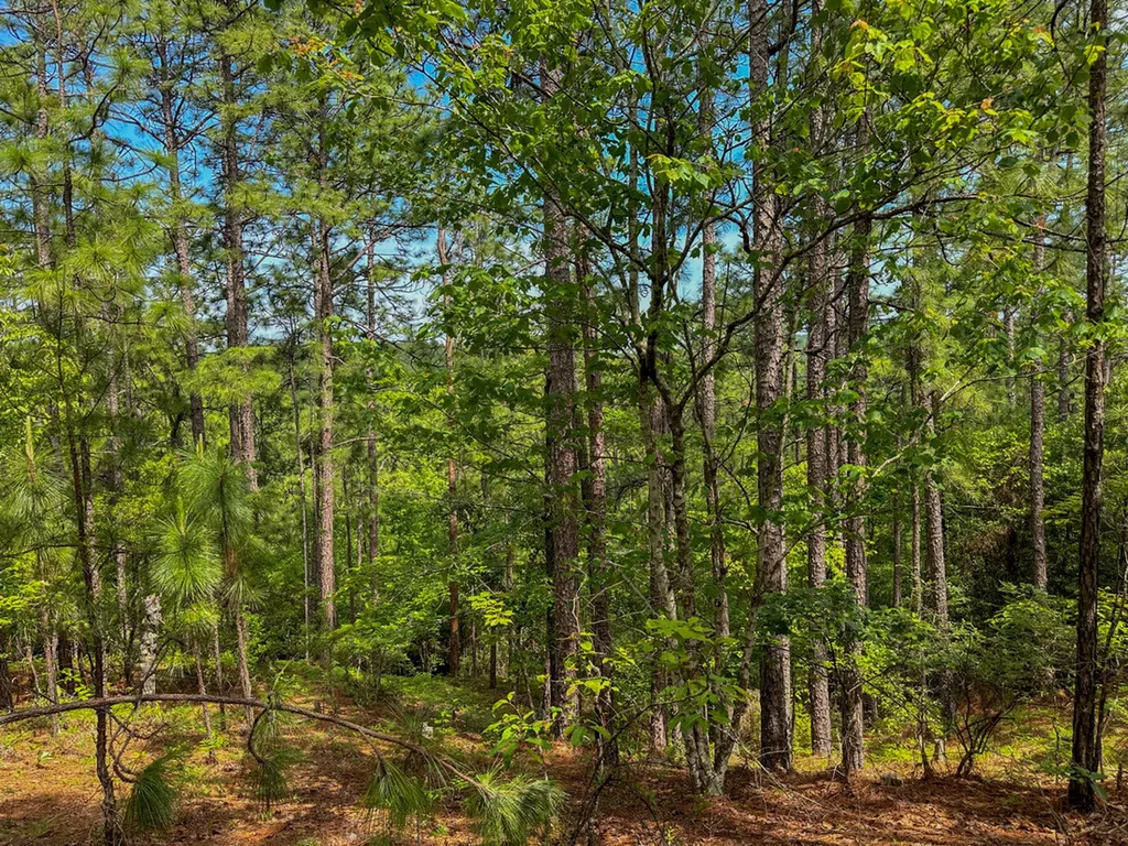 0 Ollie Mccullough Road Sprott AL 36756