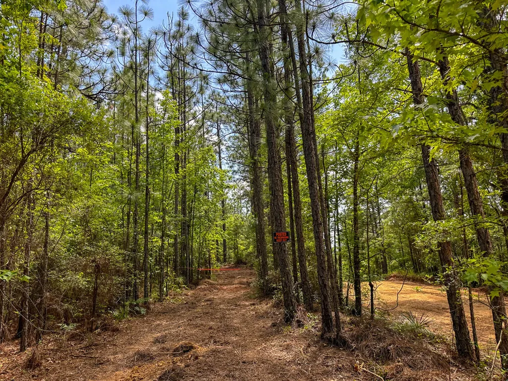 0 Ollie Mccullough Road Sprott AL 36756