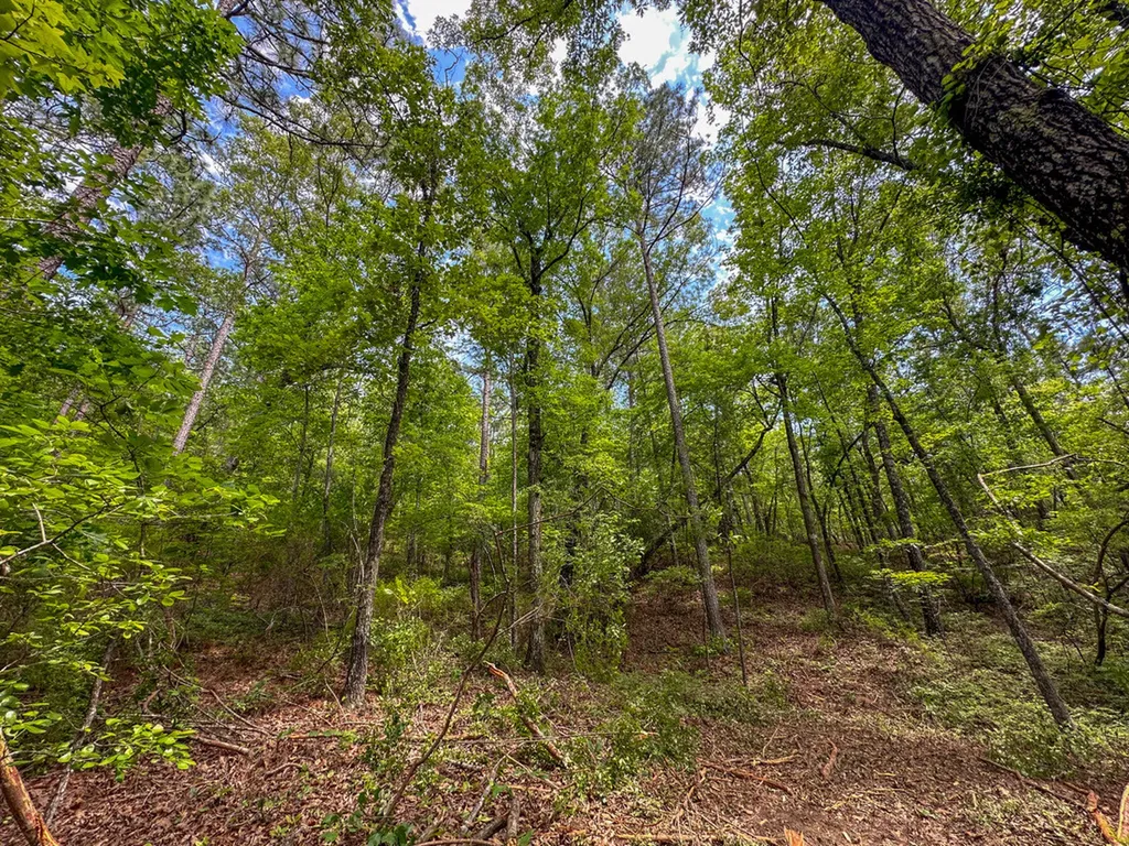 0 Ollie Mccullough Road Sprott AL 36756