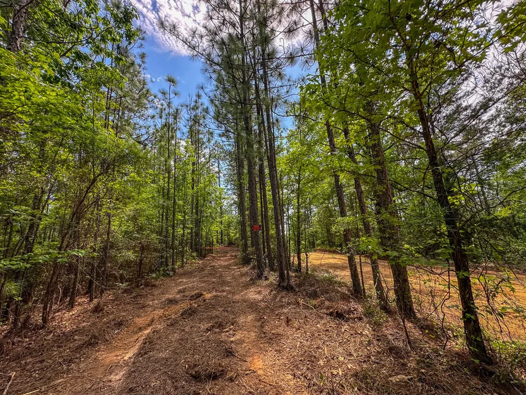 0 Ollie Mccullough Road Sprott AL 36756