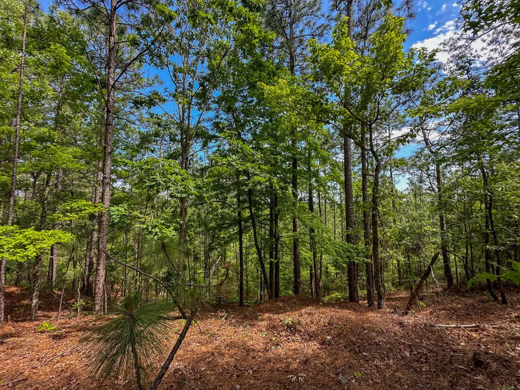 0 Ollie Mccullough Road Sprott AL 36756