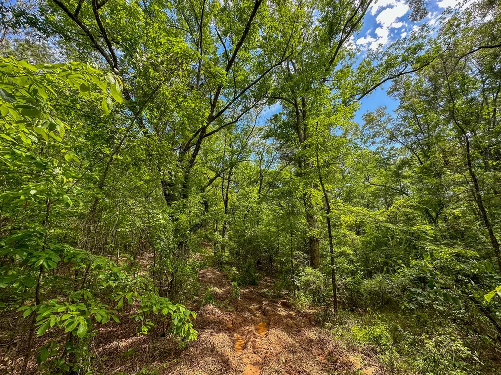 0 Ollie Mccullough Road Sprott AL 36756