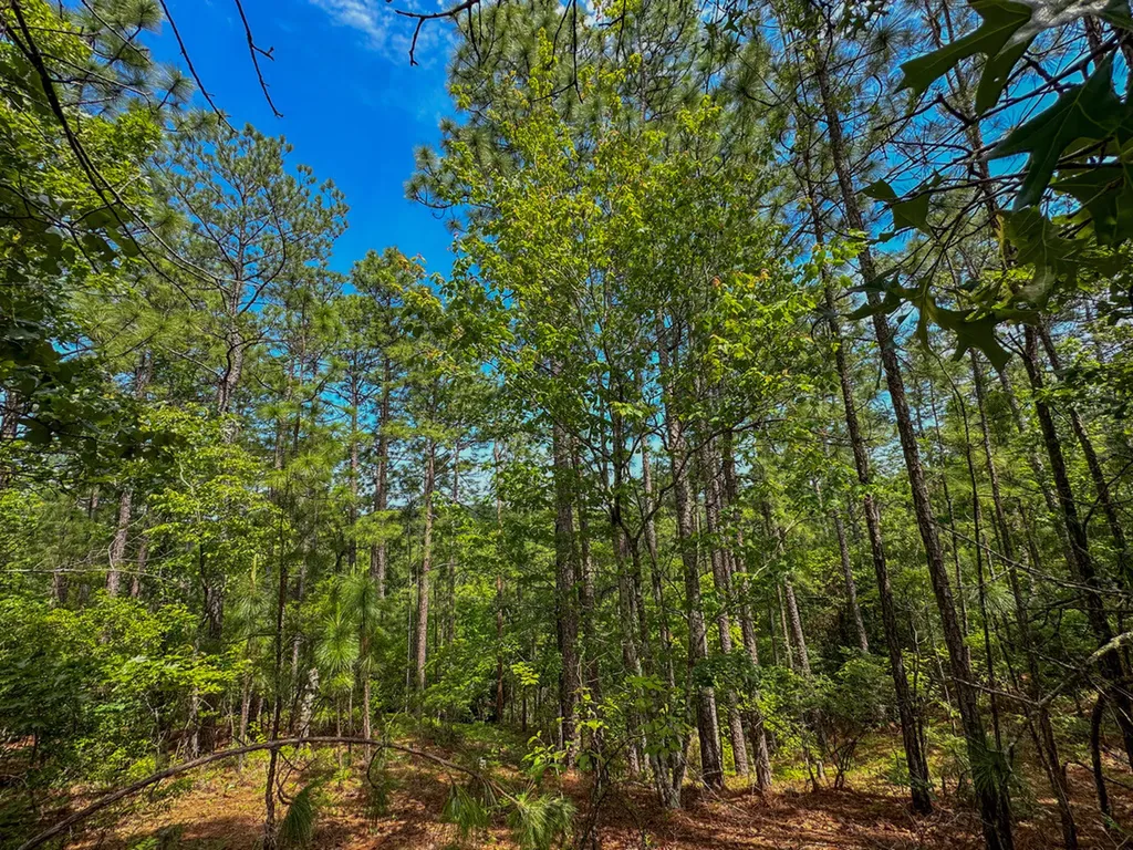 0 Ollie Mccullough Road Sprott AL 36756