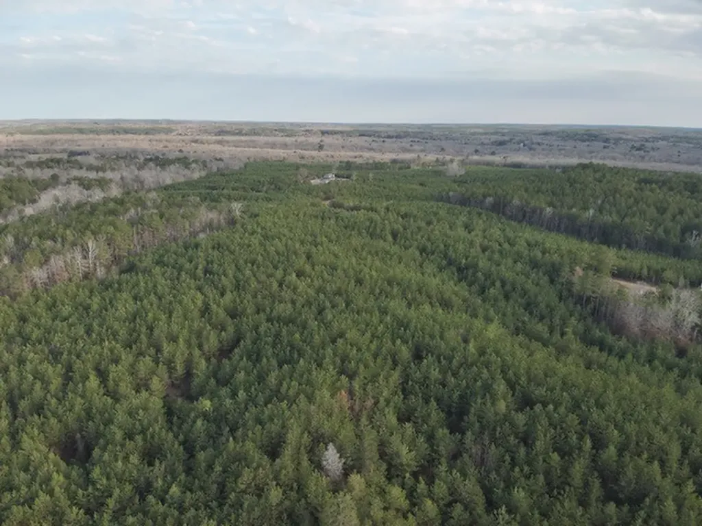 0 County Road 9 Vernon AL 35592