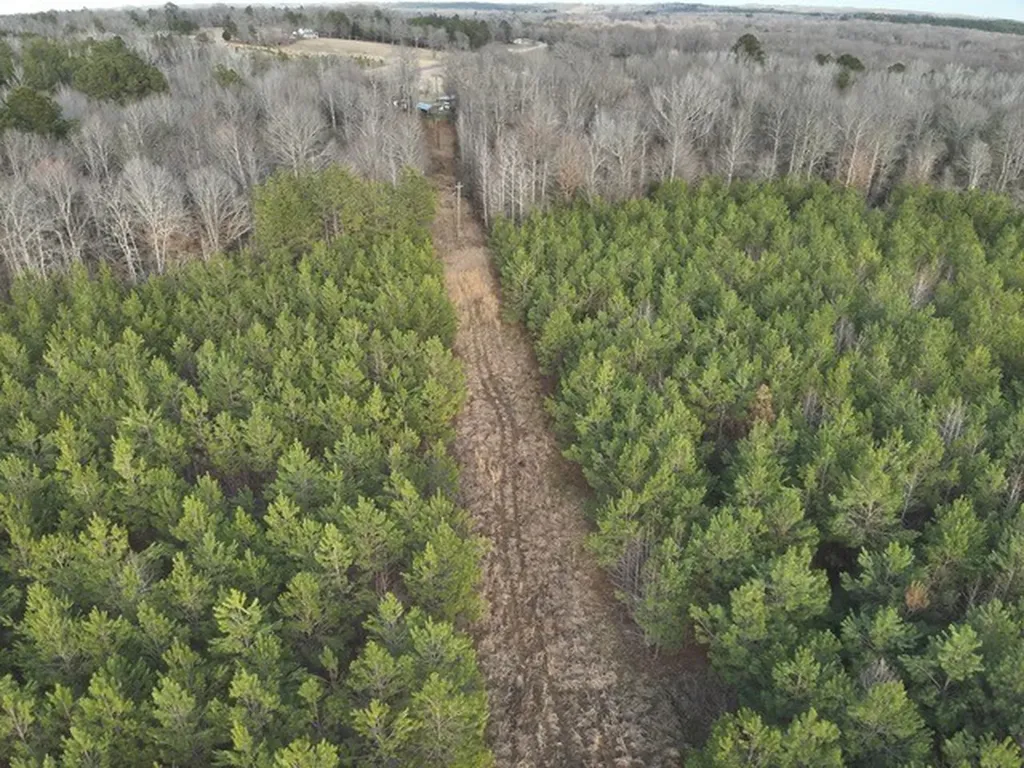 0 County Road 9 Vernon AL 35592