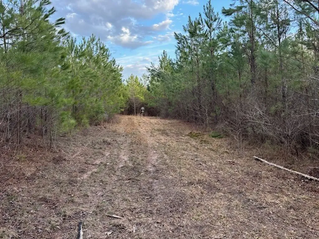 0 County Road 9 Vernon AL 35592