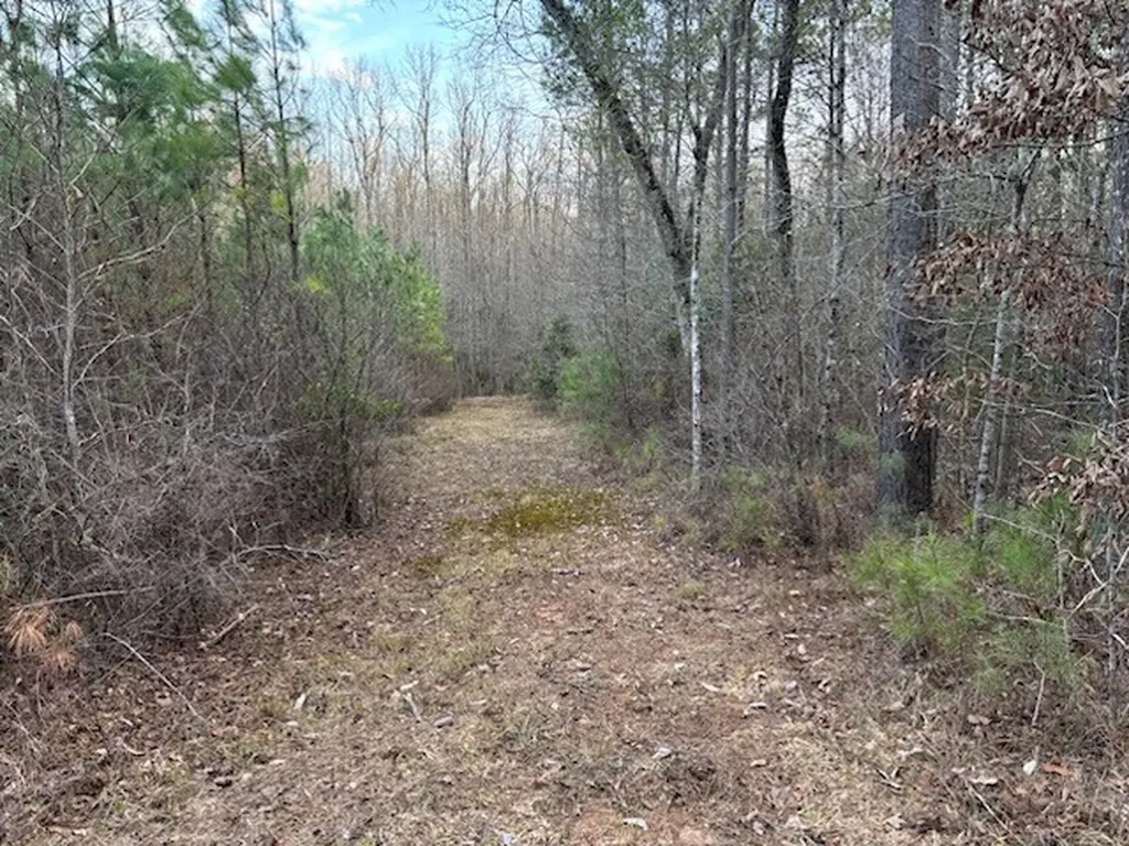 0 County Road 9 Vernon AL 35592