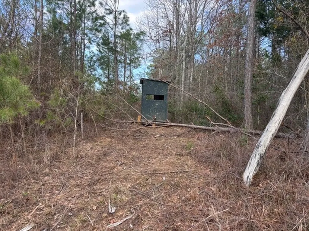 0 County Road 9 Vernon AL 35592