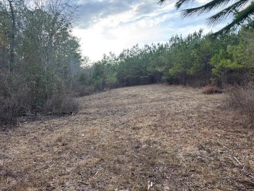 0 County Road 9 Vernon AL 35592