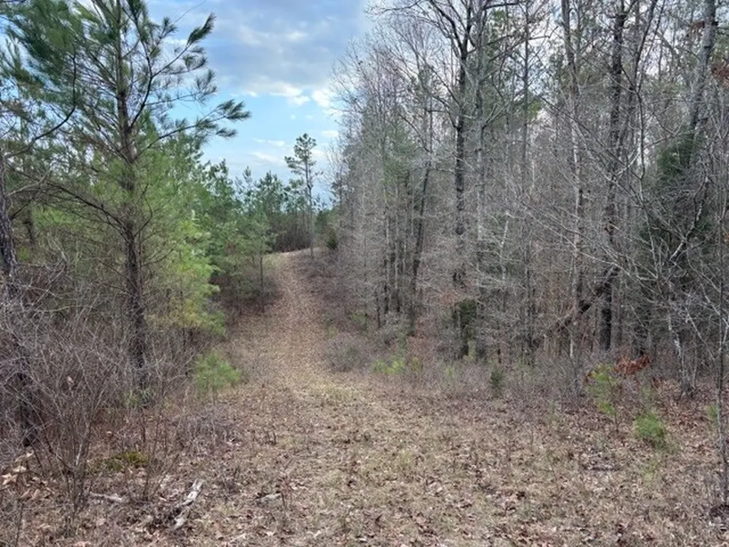 0 County Road 9 Vernon AL 35592