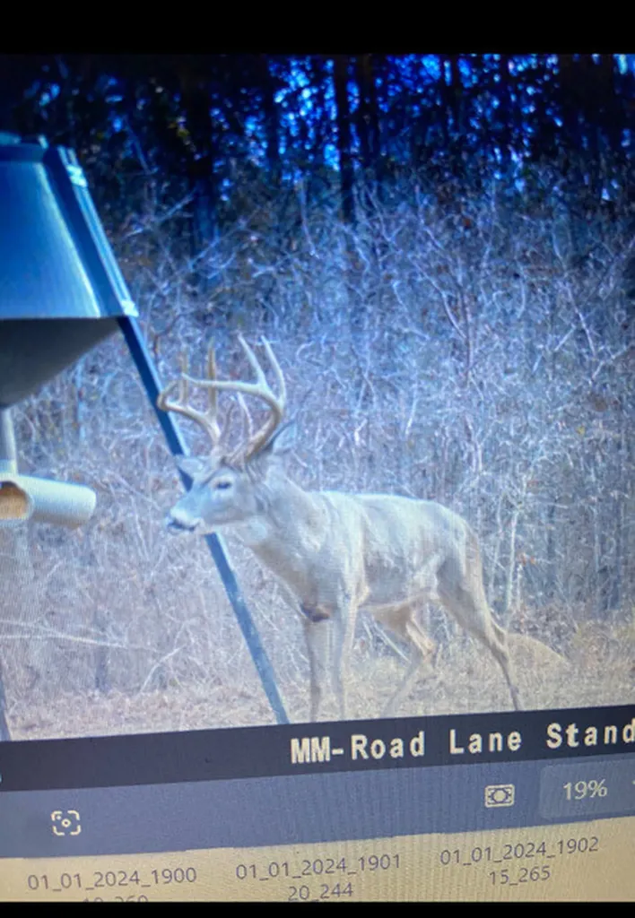 0 County Road 9 Vernon AL 35592