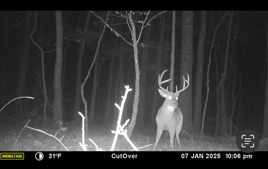 0 County Road 9 Vernon AL 35592