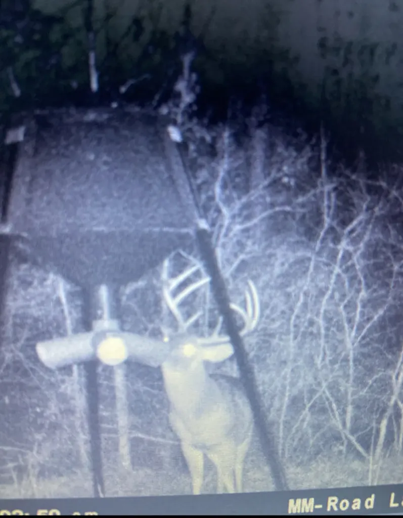 0 County Road 9 Vernon AL 35592