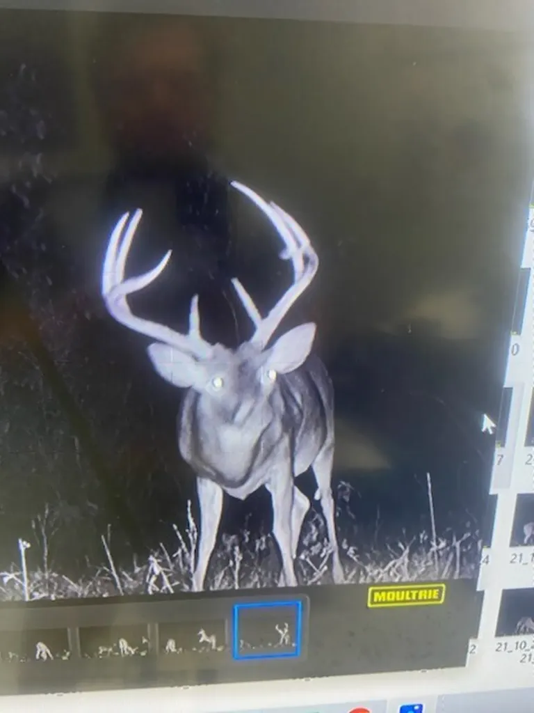 0 County Road 9 Vernon AL 35592