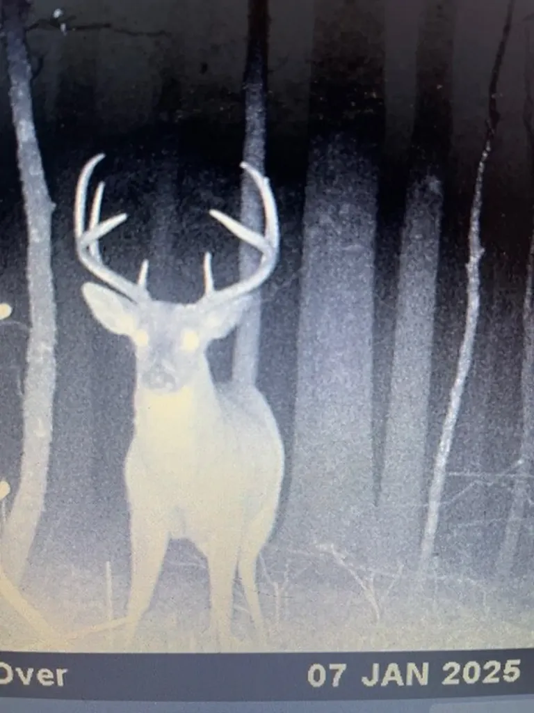 0 County Road 9 Vernon AL 35592