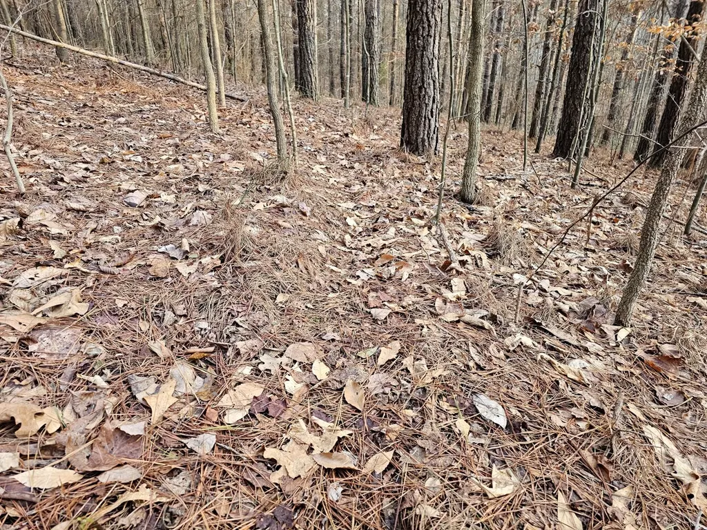 000 Pleasant Hill Road Hackleburg AL 35564