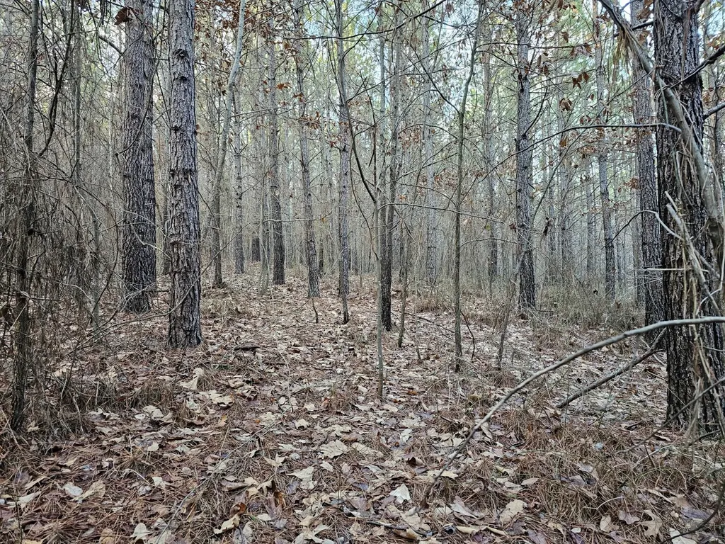 000 Pleasant Hill Road Hackleburg AL 35564