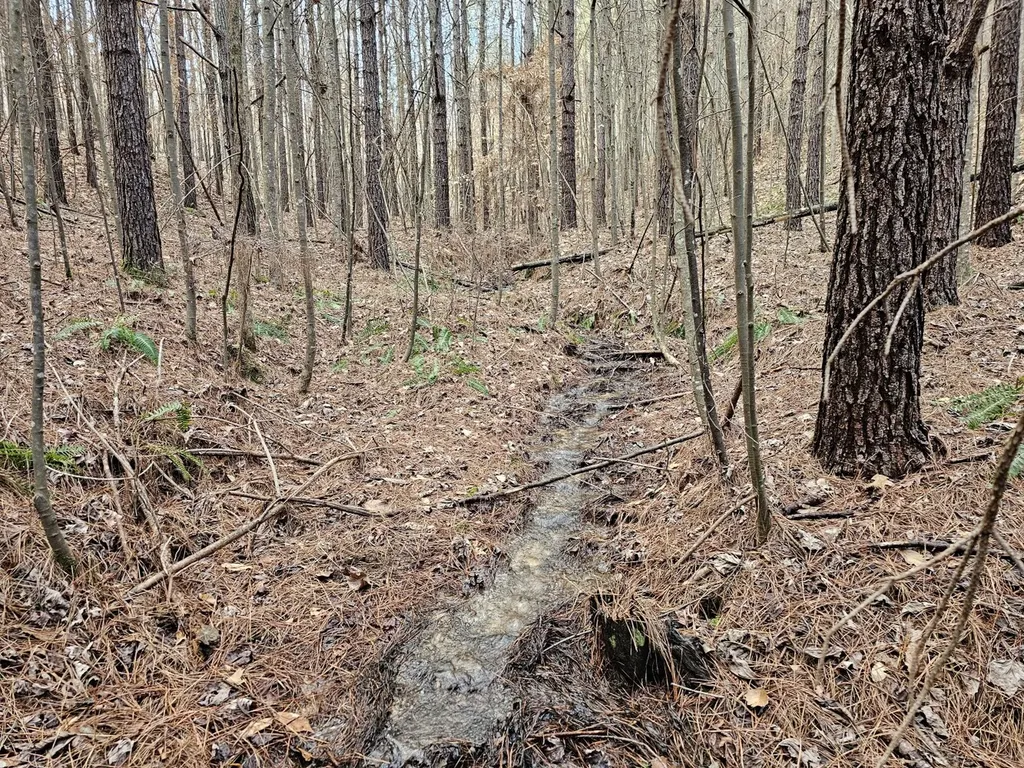 000 Pleasant Hill Road Hackleburg AL 35564