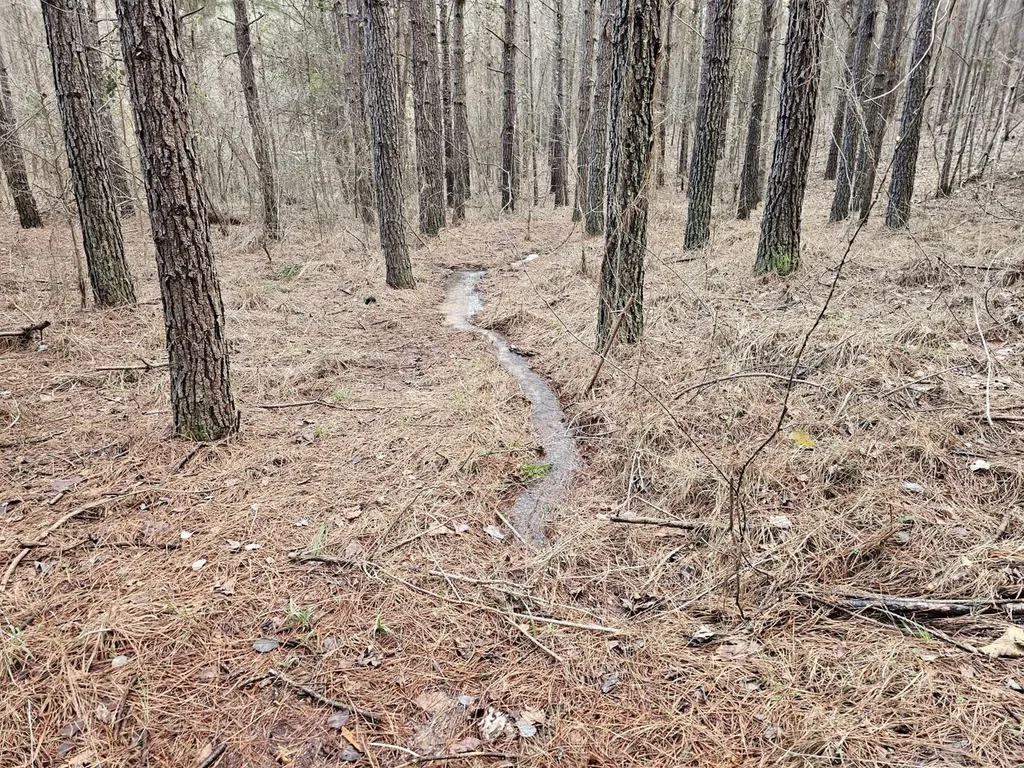 000 Pleasant Hill Road Hackleburg AL 35564