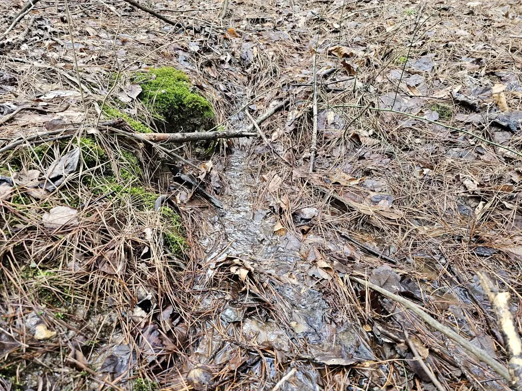 000 Pleasant Hill Road Hackleburg AL 35564