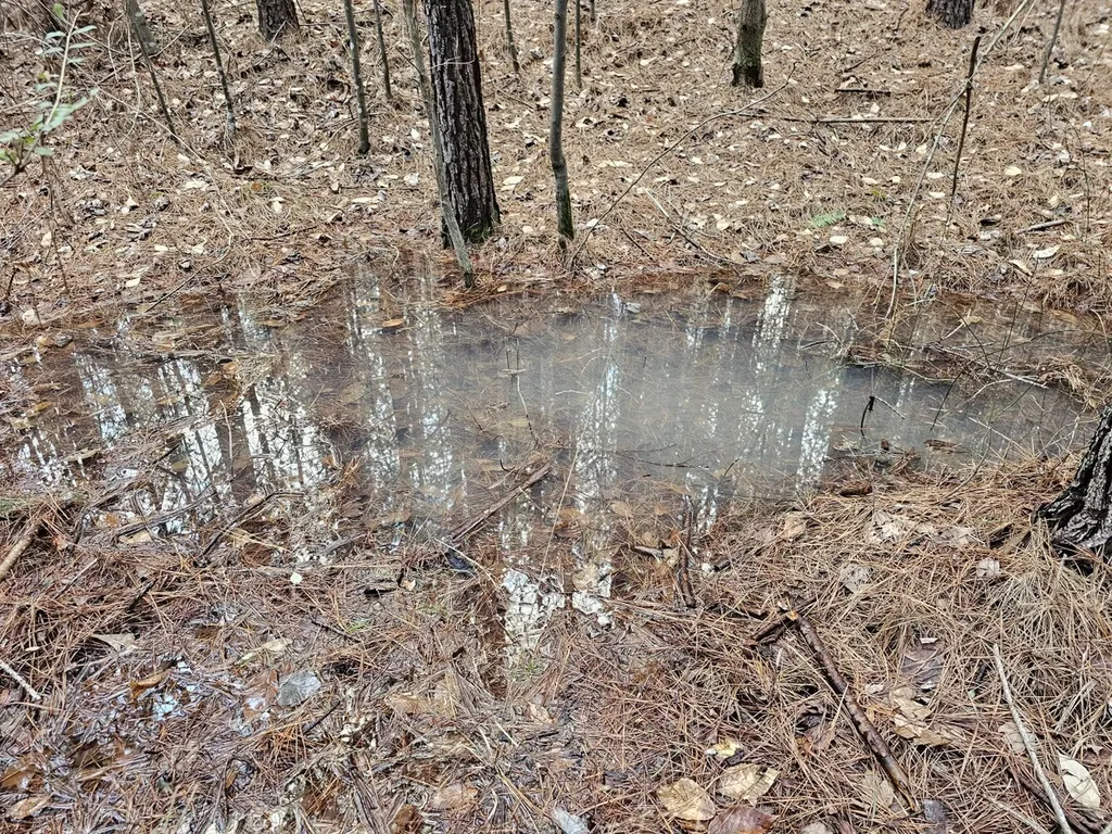 000 Pleasant Hill Road Hackleburg AL 35564