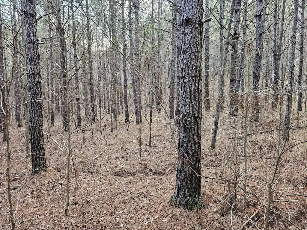 000 Pleasant Hill Road Hackleburg AL 35564