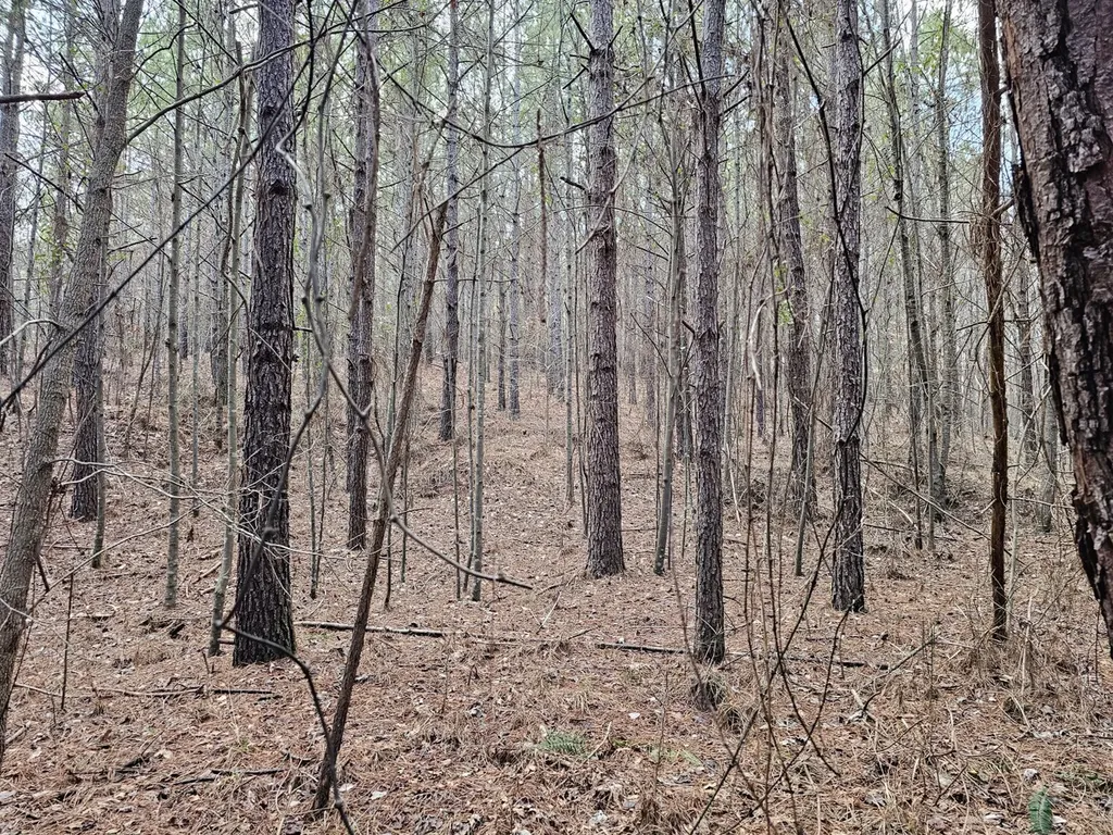 000 Pleasant Hill Road Hackleburg AL 35564