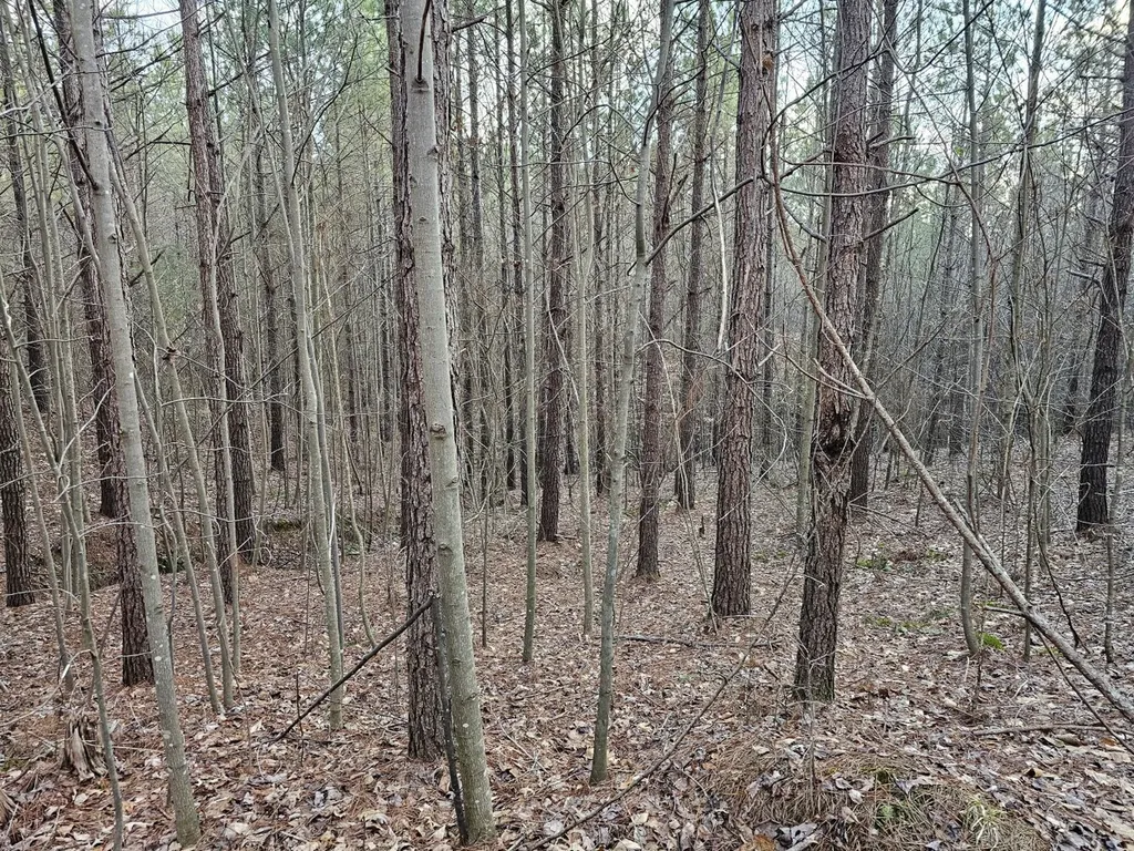 000 Pleasant Hill Road Hackleburg AL 35564