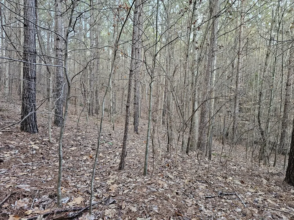 000 Pleasant Hill Road Hackleburg AL 35564