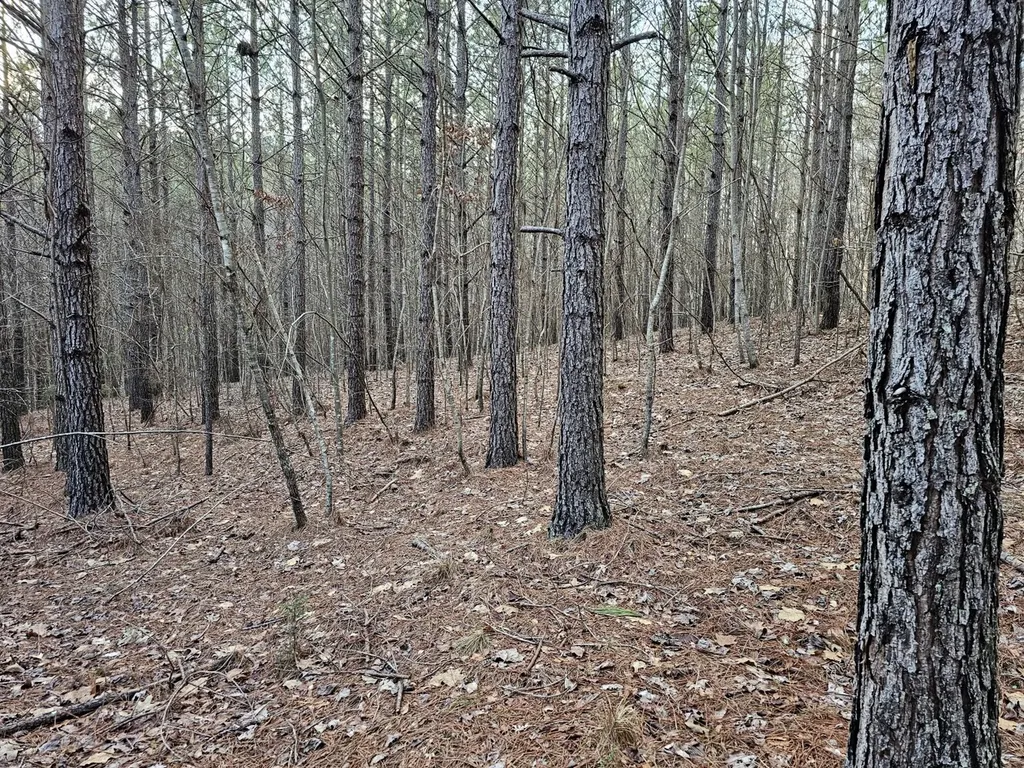 000 Pleasant Hill Road Hackleburg AL 35564