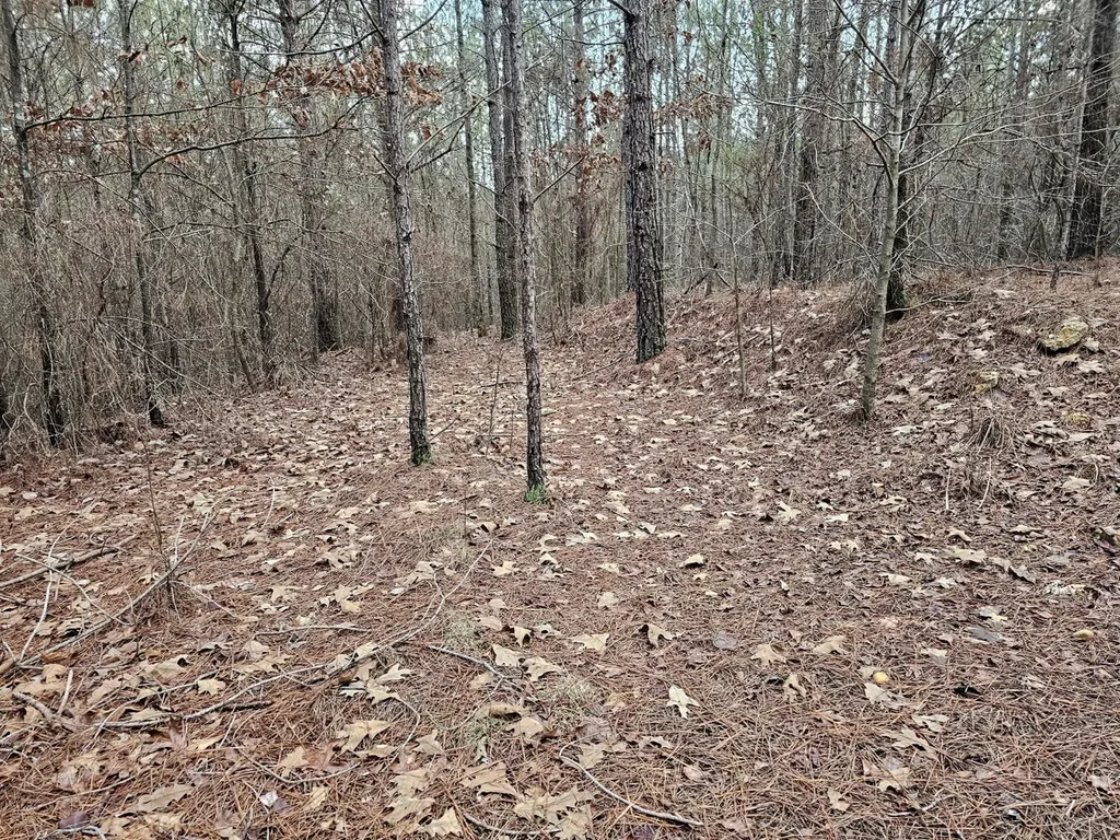 000 Pleasant Hill Road Hackleburg AL 35564